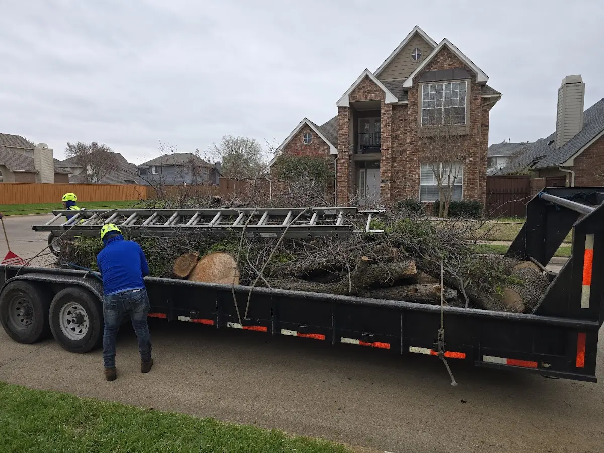 Expert Tree Fertilization with proper safety equipment in Buckingham